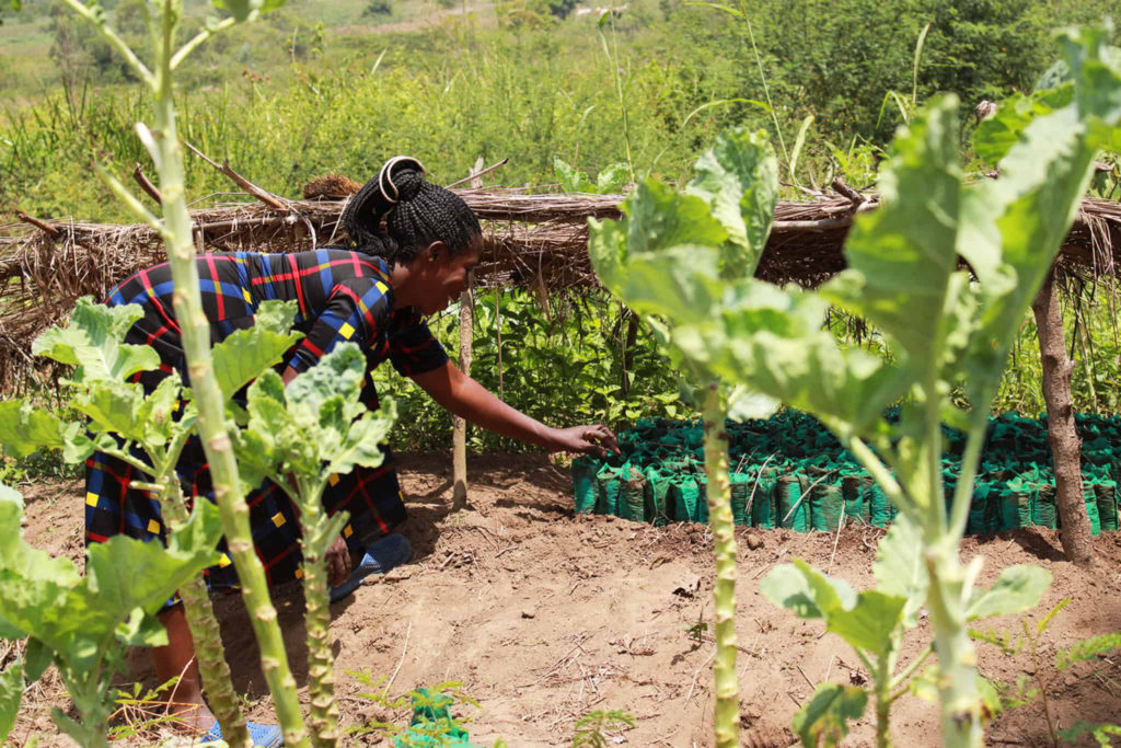 Ugandan farmer Christine Akello tending to her forest garden
