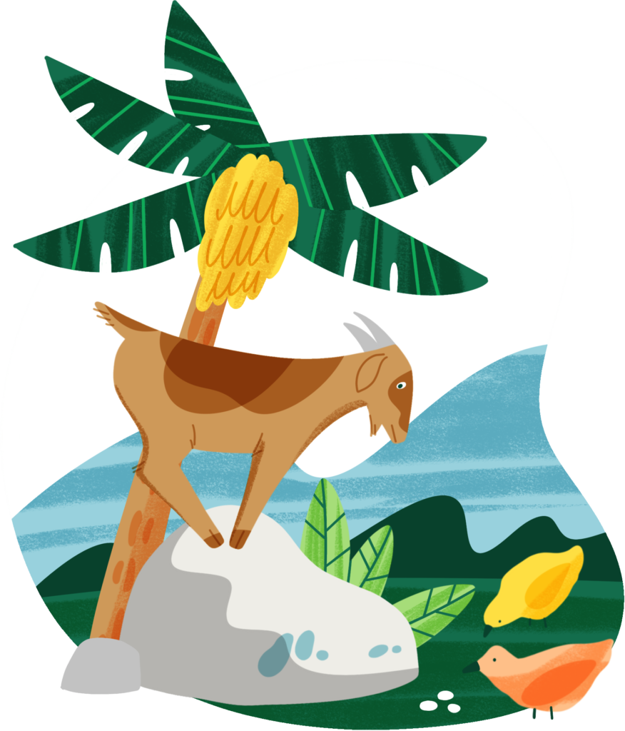 Illustration of a goat standing on top of a rock next to a palm tree and two birds